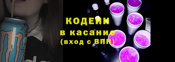 индика Россошь