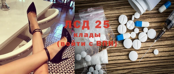 крисы Алзамай