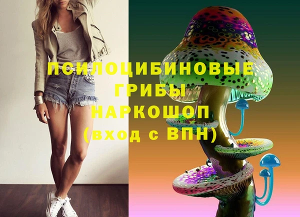 скорость Алексин