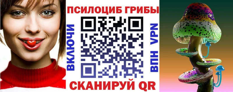 это какой сайт  Андреаполь  Псилоцибиновые грибы мухоморы 